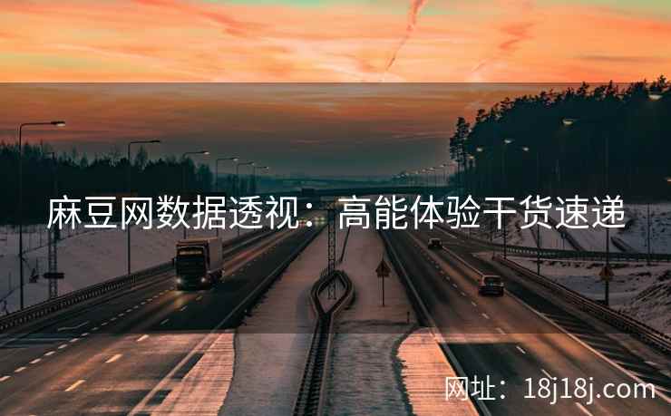 麻豆网数据透视：高能体验干货速递