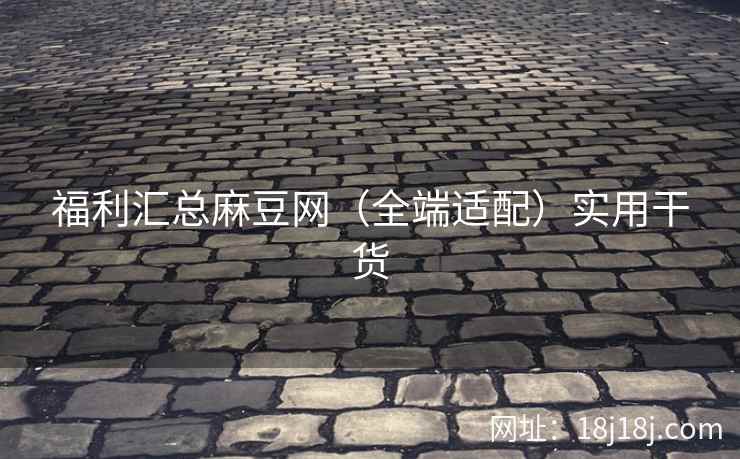 福利汇总麻豆网（全端适配）实用干货