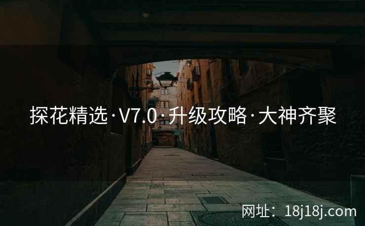 探花精选·V7.0·升级攻略·大神齐聚