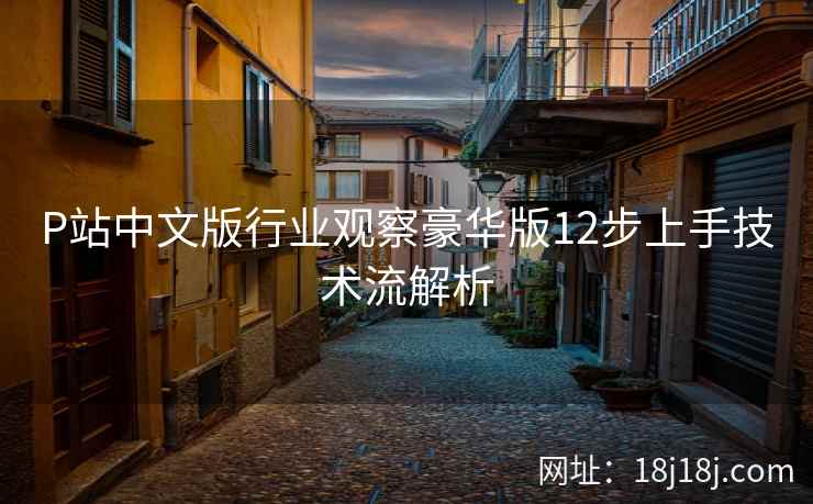 P站中文版行业观察豪华版12步上手技术流解析