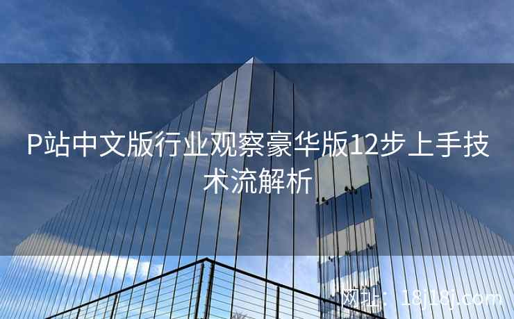 P站中文版行业观察豪华版12步上手技术流解析