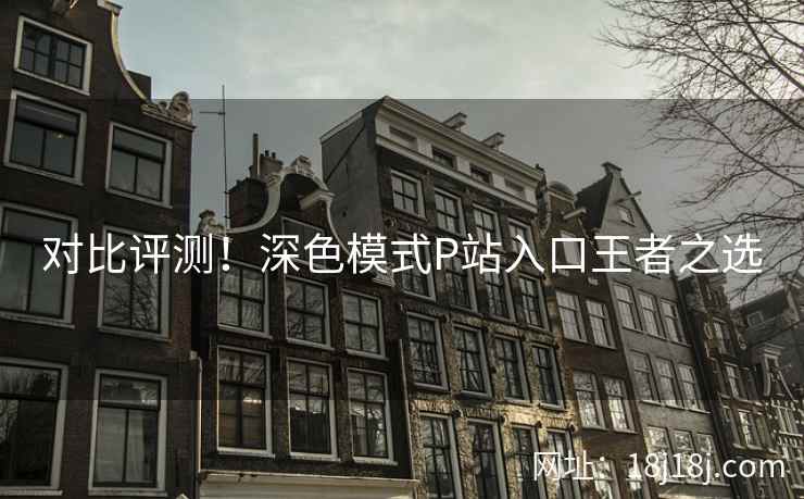 对比评测！深色模式P站入口王者之选