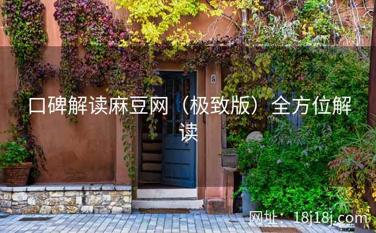 口碑解读麻豆网（极致版）全方位解读