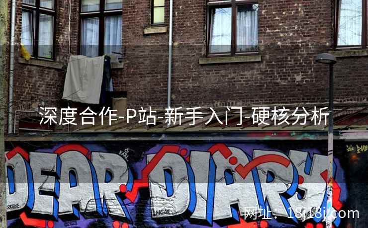 深度合作-P站-新手入门-硬核分析