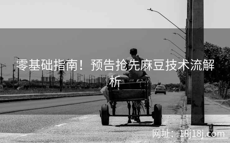 零基础指南！预告抢先麻豆技术流解析