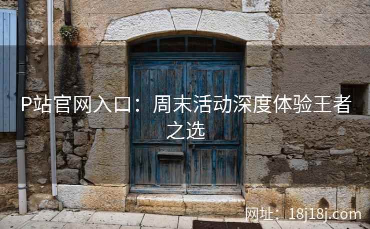 P站官网入口：周末活动深度体验王者之选