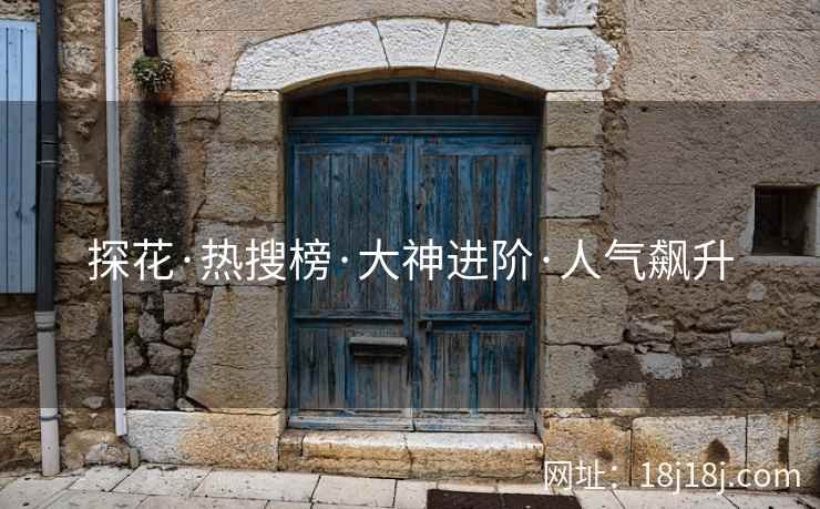 探花·热搜榜·大神进阶·人气飙升