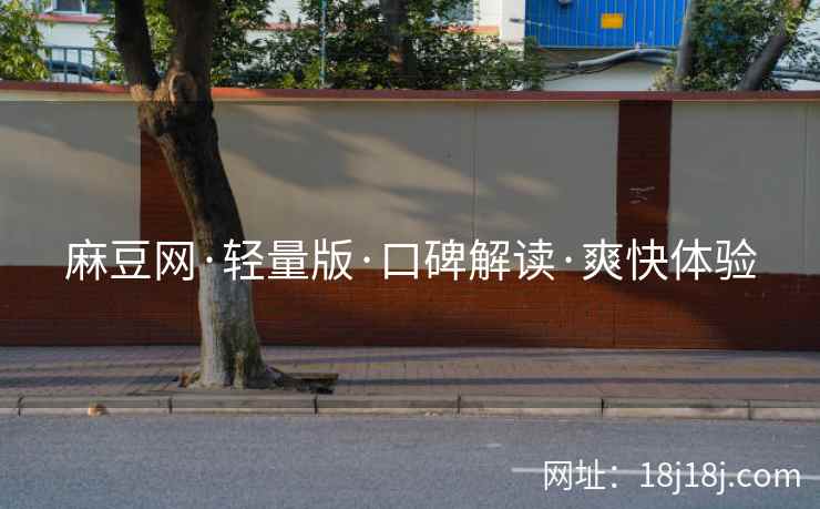 麻豆网·轻量版·口碑解读·爽快体验
