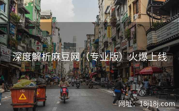 深度解析麻豆网（专业版）火爆上线