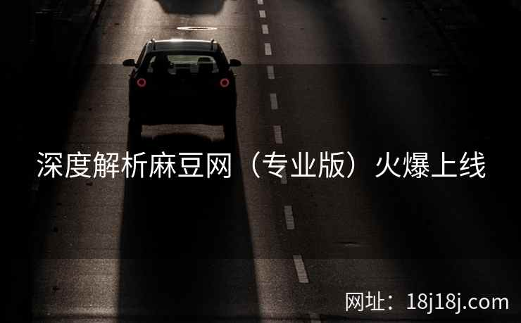深度解析麻豆网（专业版）火爆上线