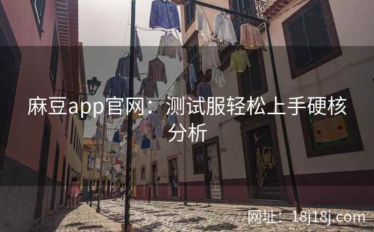 麻豆app官网：测试服轻松上手硬核分析