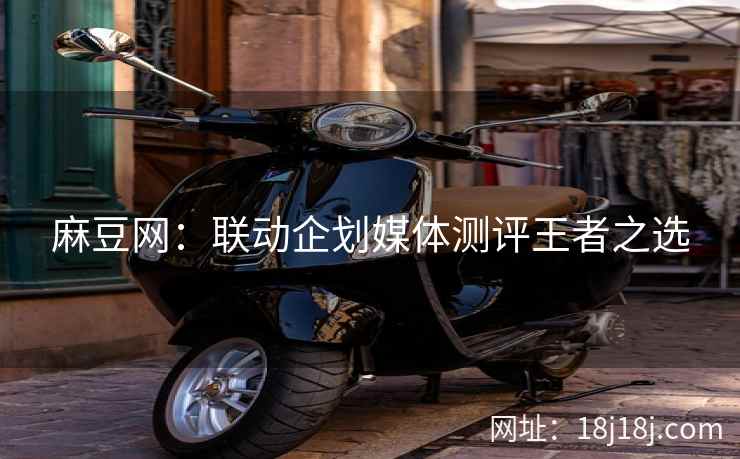 麻豆网：联动企划媒体测评王者之选