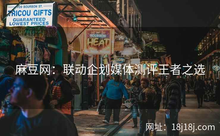 麻豆网：联动企划媒体测评王者之选