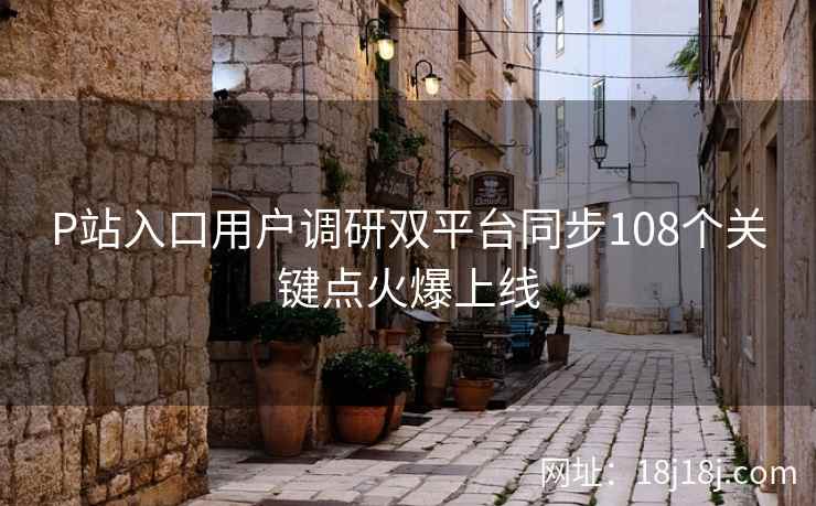 P站入口用户调研双平台同步108个关键点火爆上线