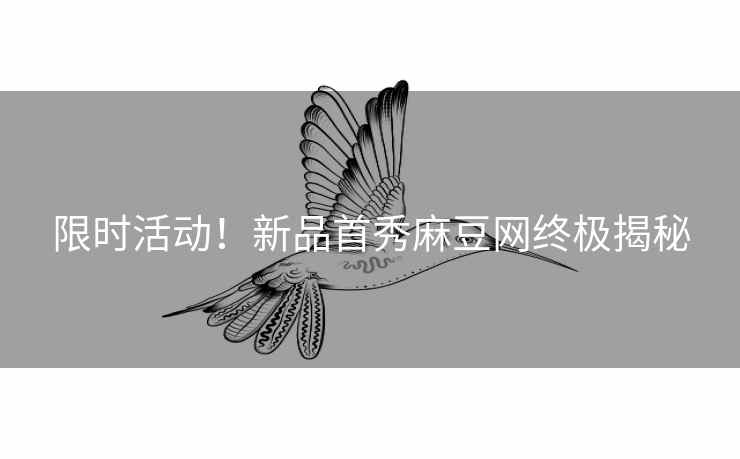 限时活动！新品首秀麻豆网终极揭秘