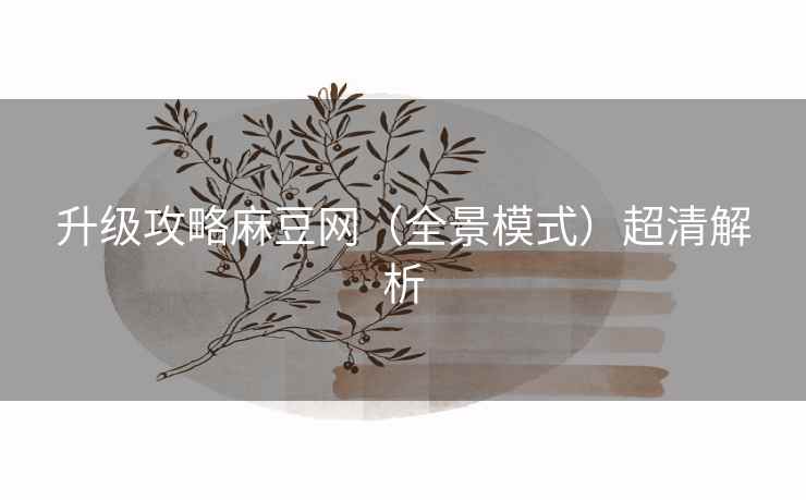 升级攻略麻豆网（全景模式）超清解析