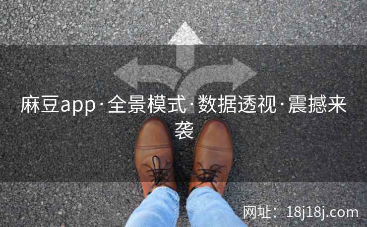 麻豆app·全景模式·数据透视·震撼来袭