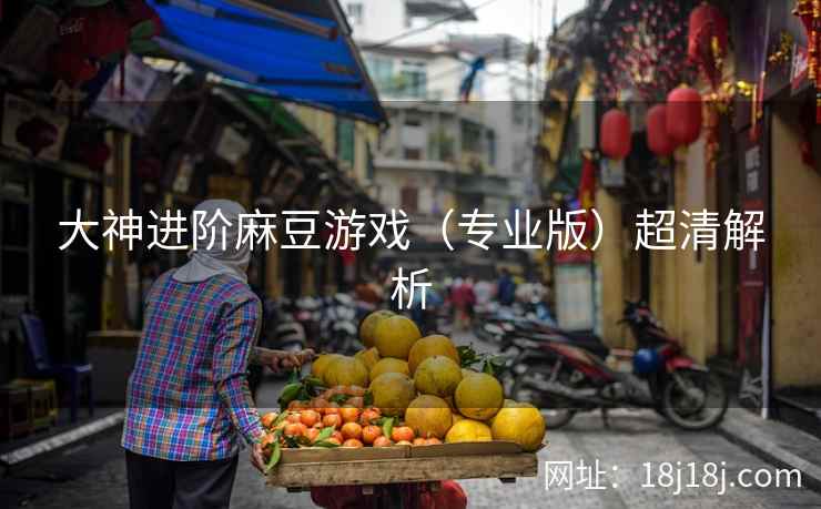 大神进阶麻豆游戏（专业版）超清解析